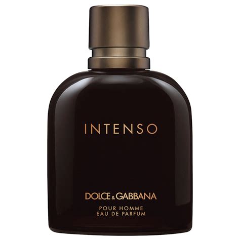 dolce gabbana intenso|dolce gabbana intenso price.